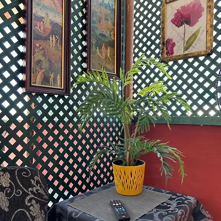 Apartament Dream Wish Santa Cruz de Tenerife